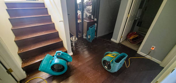 Best 24-hour water damage restoration  in Lton, IN