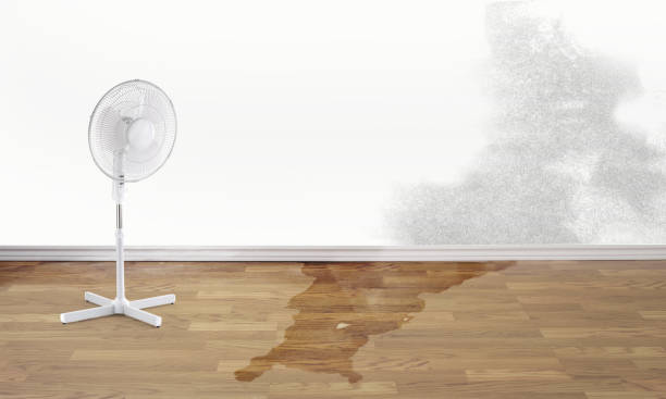Best Flooded house restoration  in Lton, IN