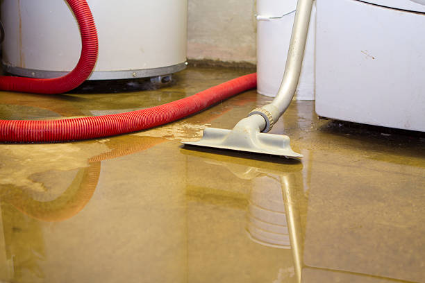 Best Professional water damage repair  in Lton, IN