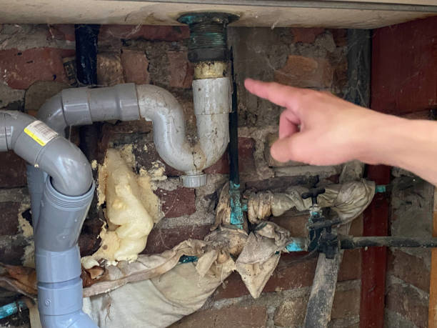 Best Commercial water damage restoration  in Lton, IN