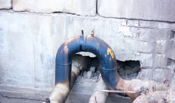 Best Water damage restoration near me  in Lton, IN