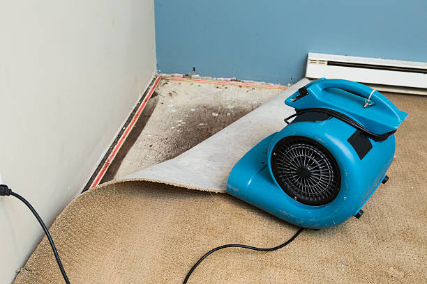 Best Fire Damage Restoration  in Lton, IN